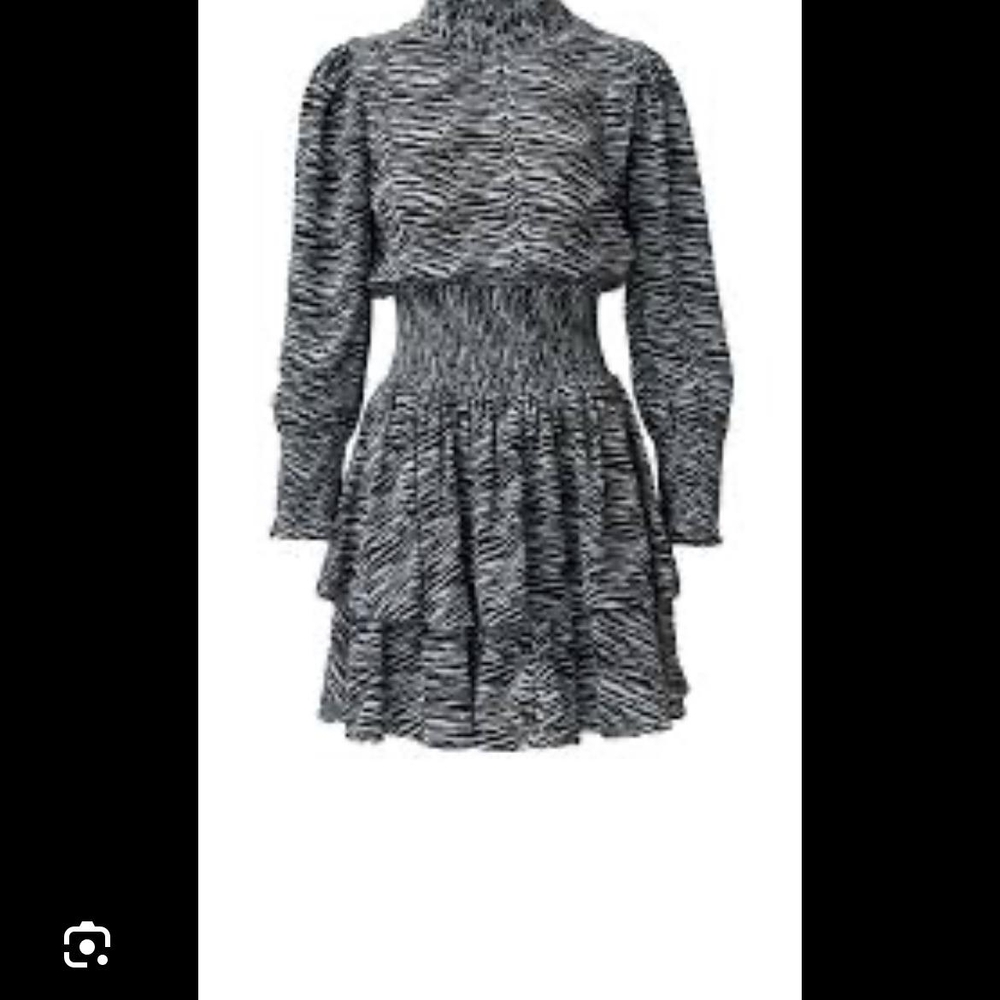 Chic Zebra Patterned Mini Dress - image 4